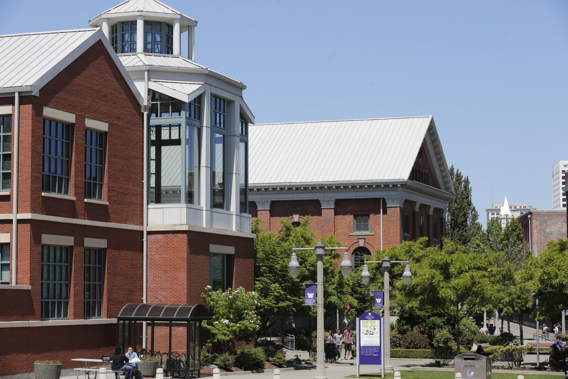 Giga Chad - University of Washington - Tacoma, Washington, United